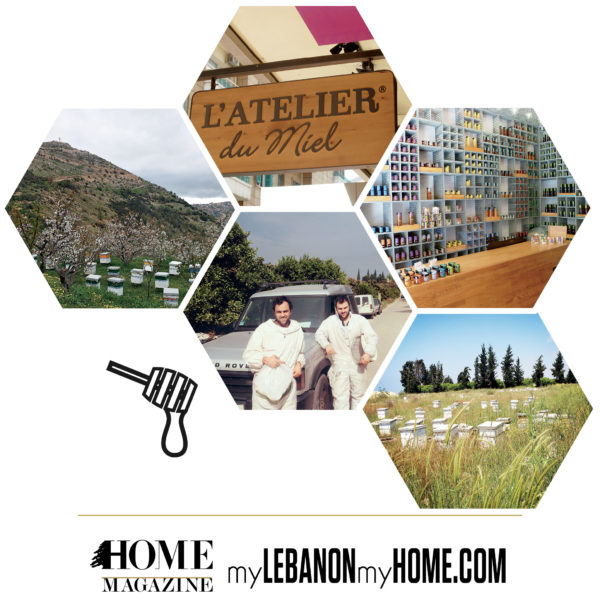 Honey Production in Lebanon