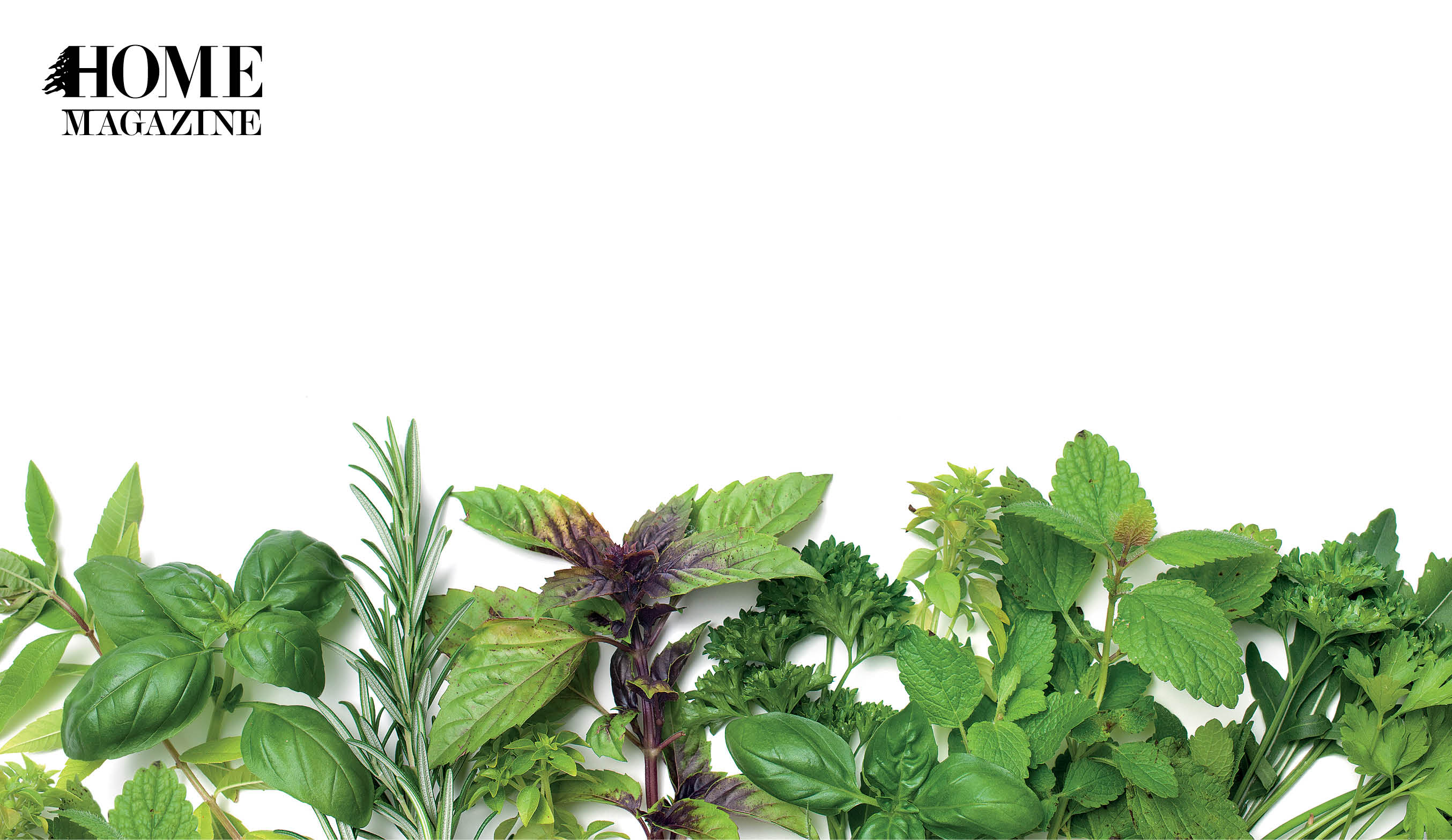 Green leaves